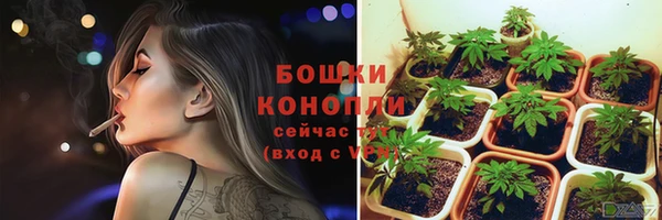 гашик Нягань