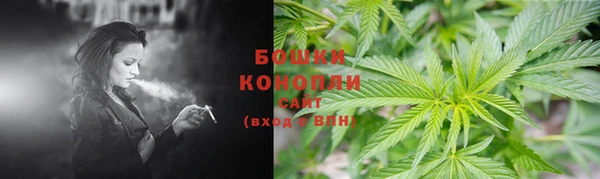 молекула духа Нязепетровск