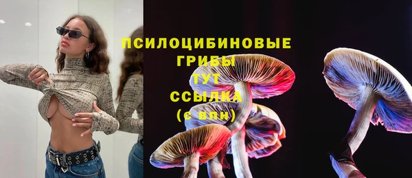 герыч Няндома